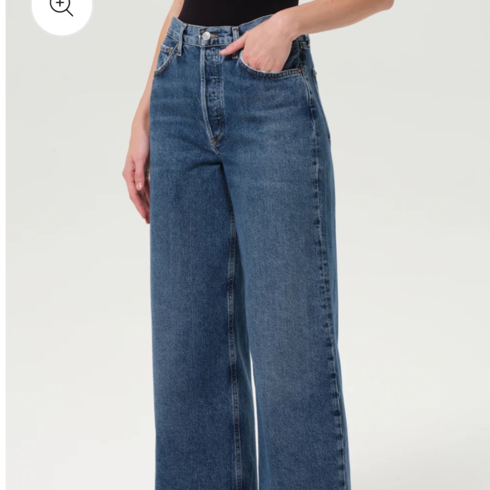 Agolde Dame High Rise Wide Leg